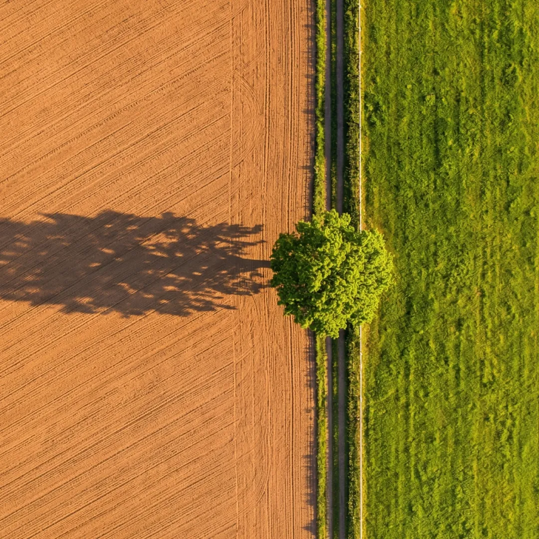 Advanced crop monitoring drone