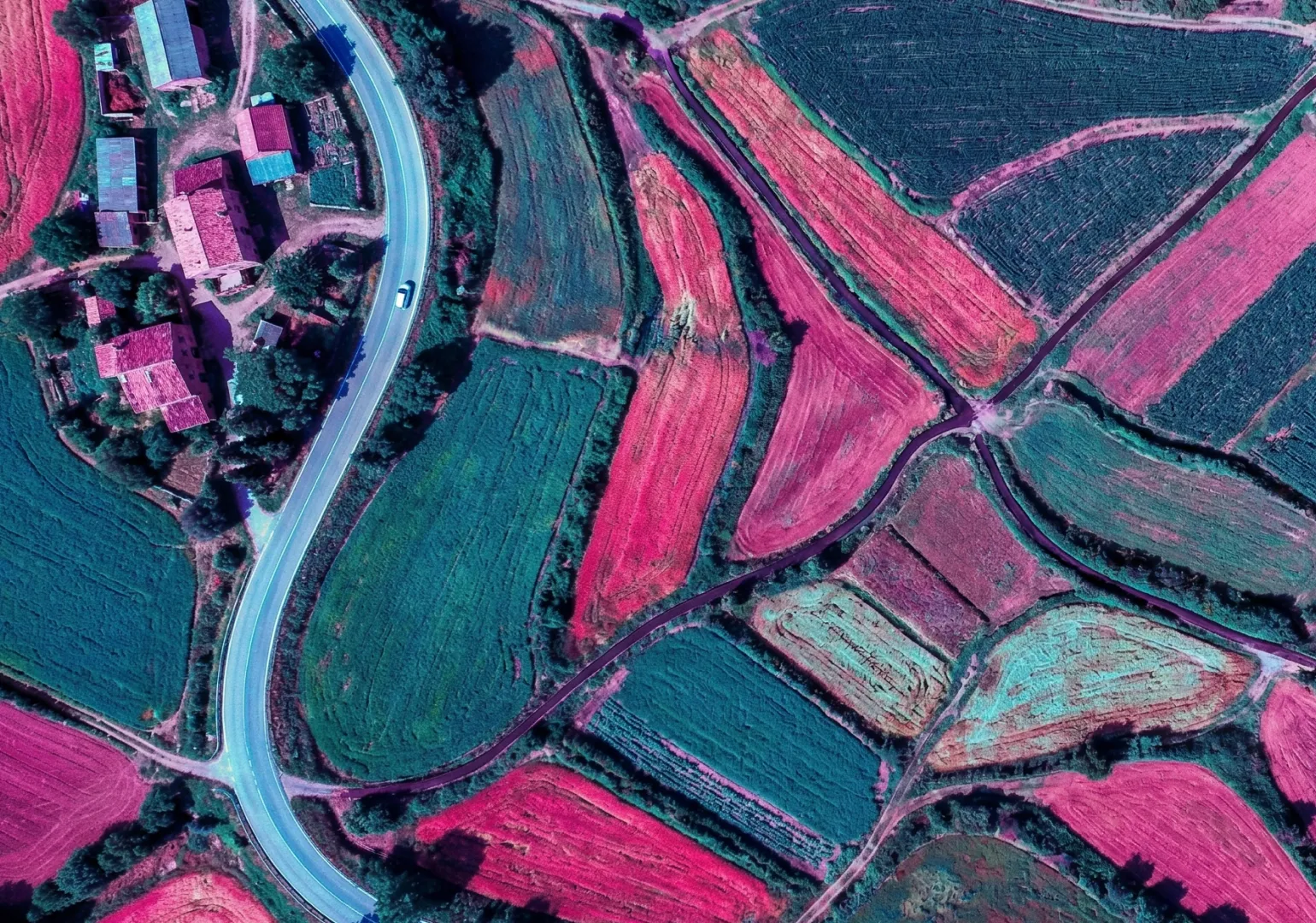 Processed 3D Topographic Model