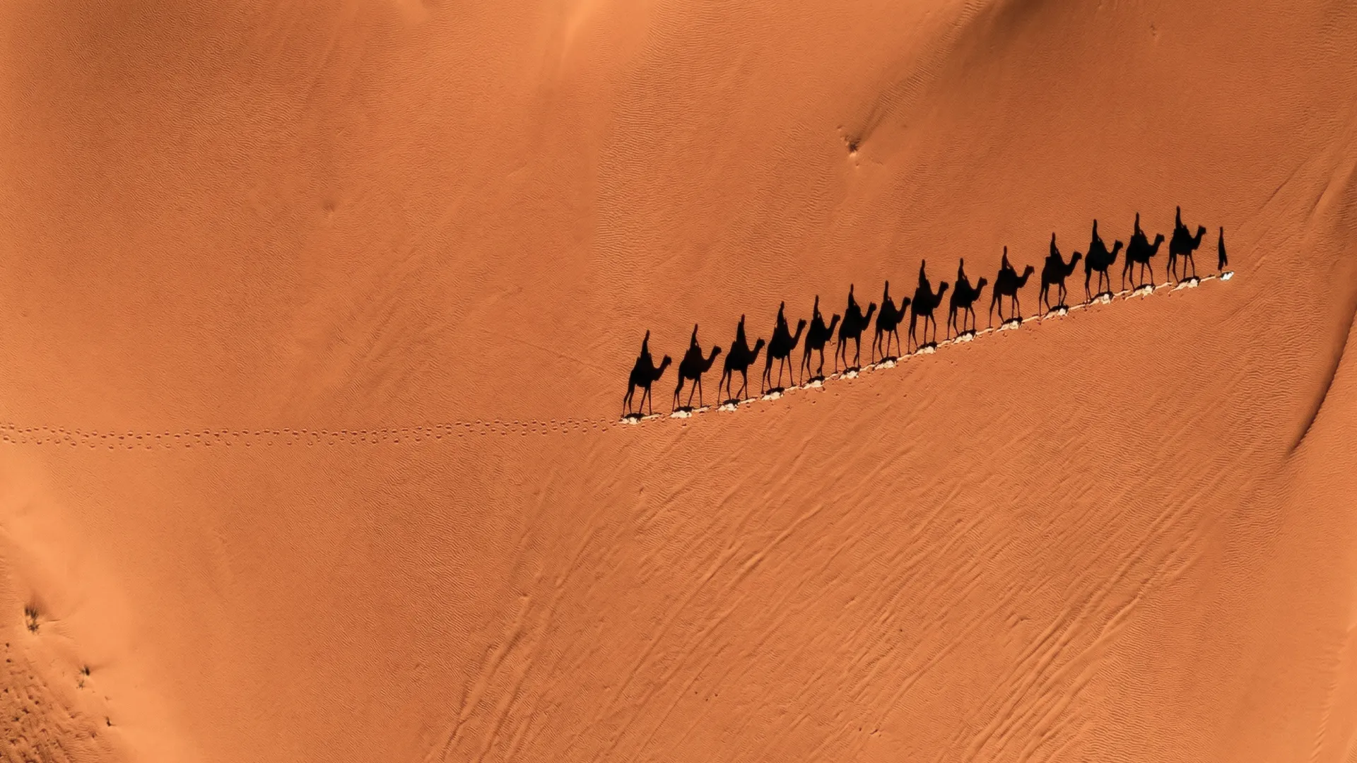 Ready to start your drone videography project