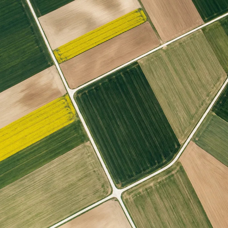 Terrain mapping with a drone